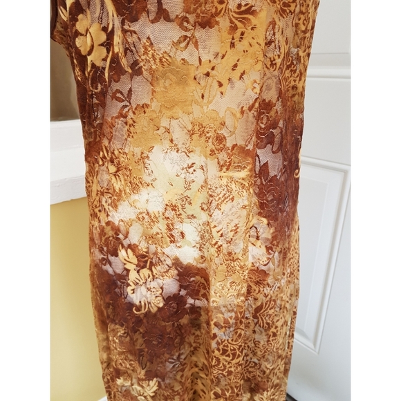 LM Lingerie Sears Sheer Nightgown - Picture 11 of 15